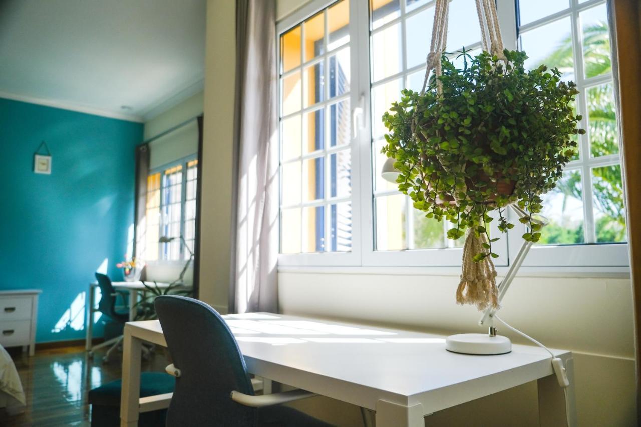 Lava Acores Coliving & Coworking Ribeira Grande Exterior photo