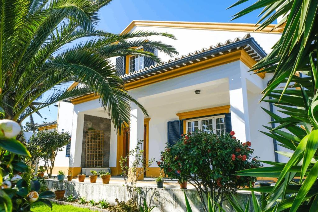 Lava Acores Coliving & Coworking Ribeira Grande Exterior photo