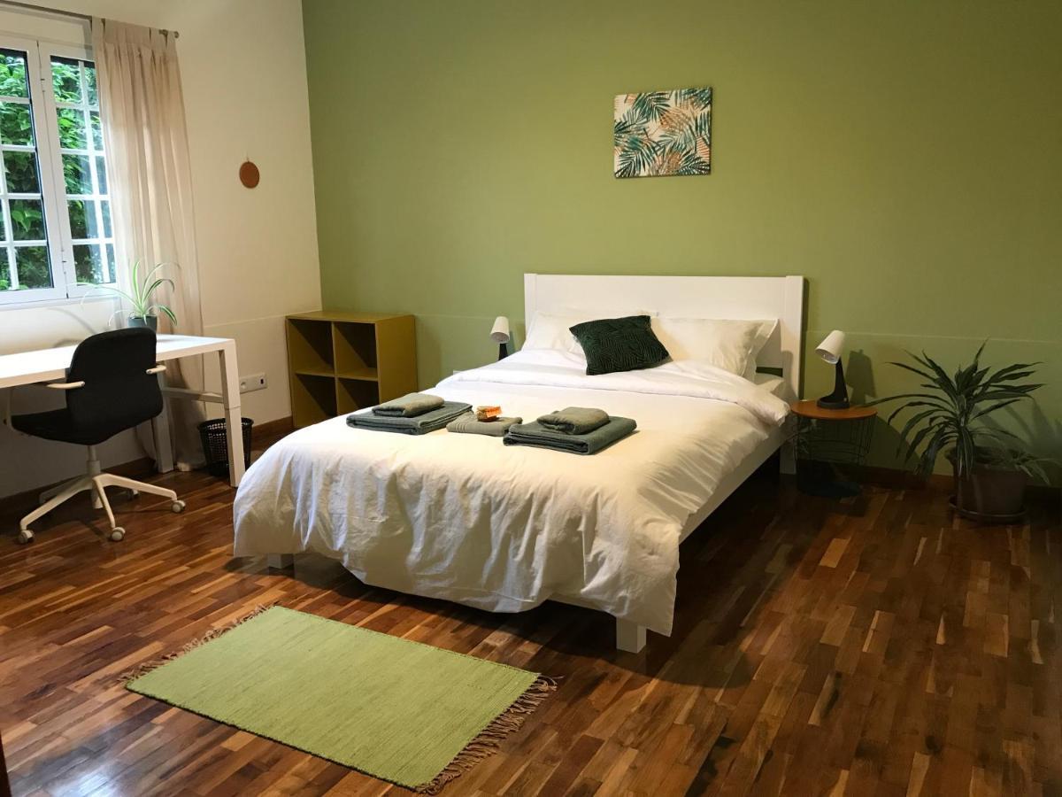 Lava Acores Coliving & Coworking Ribeira Grande Exterior photo